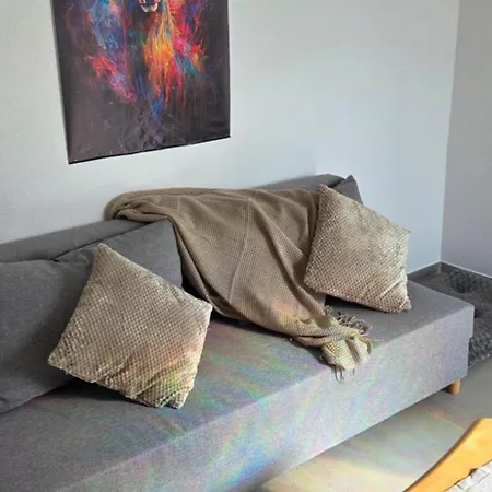 Appartement Albfad Einkehr Balcony Dogs Welcome Zollernalb Balingen